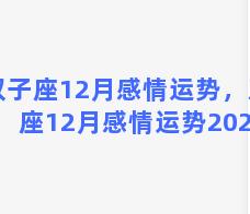 双子座12月感情运势，双子座12月感情运势2022年