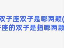 双子座双子是哪两颗(双子座的双子是指哪两颗星)