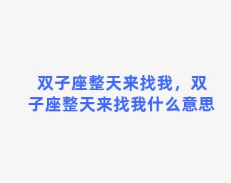 双子座整天来找我，双子座整天来找我什么意思