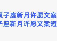 双子座新月许愿文案(双子座新月许愿文案短句)