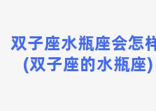 双子座水瓶座会怎样(双子座的水瓶座)