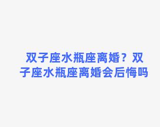 双子座水瓶座离婚？双子座水瓶座离婚会后悔吗