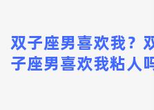 双子座男喜欢我？双子座男喜欢我粘人吗