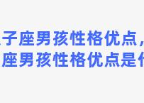 双子座男孩性格优点，双子座男孩性格优点是什么