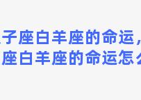 双子座白羊座的命运，双子座白羊座的命运怎么样