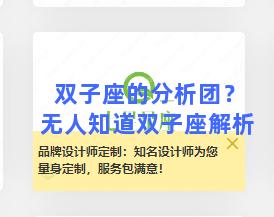 双子座的分析团？无人知道双子座解析