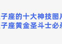 双子座的十大神技图片，双子座黄金圣斗士必杀技