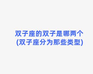 双子座的双子是哪两个(双子座分为那些类型)