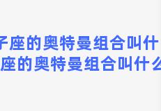 双子座的奥特曼组合叫什么？双子座的奥特曼组合叫什么来着