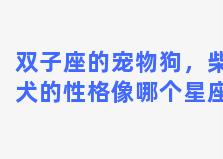 双子座的宠物狗，柴犬的性格像哪个星座