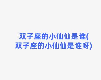 双子座的小仙仙是谁(双子座的小仙仙是谁呀)