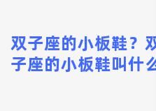 双子座的小板鞋？双子座的小板鞋叫什么