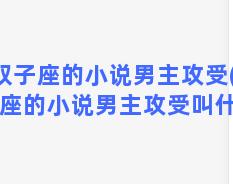 双子座的小说男主攻受(双子座的小说男主攻受叫什么)