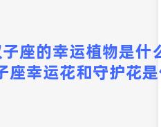 双子座的幸运植物是什么？双子座幸运花和守护花是什么