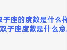 双子座的度数是什么样的(双子座度数是什么意思)