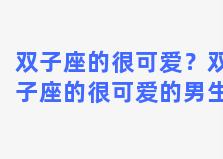 双子座的很可爱？双子座的很可爱的男生