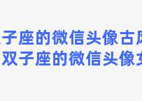 双子座的微信头像古风男？双子座的微信头像女生