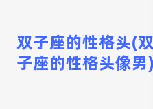 双子座的性格头(双子座的性格头像男)