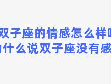 双子座的情感怎么样啊(为什么说双子座没有感情)