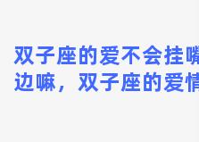 双子座的爱不会挂嘴边嘛，双子座的爱情