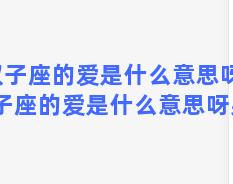 双子座的爱是什么意思呀，双子座的爱是什么意思呀男生