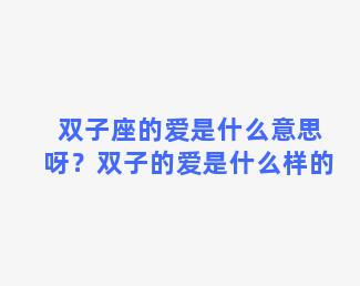 双子座的爱是什么意思呀？双子的爱是什么样的