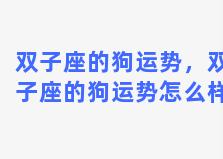 双子座的狗运势，双子座的狗运势怎么样