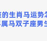 双子座的生肖马运势怎么样(1966年属马双子座男生的性格)