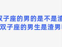 双子座的男的是不是渣男(双子座的男生是渣男吗)