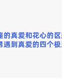 双子座的真爱和花心的区别，双子座男遇到真爱的四个极致表现