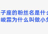 双子座的粉丝名是什么，贺峻霖为什么叫做小兔子