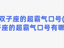 双子座的超霸气口号(双子座的超霸气口号有哪些)