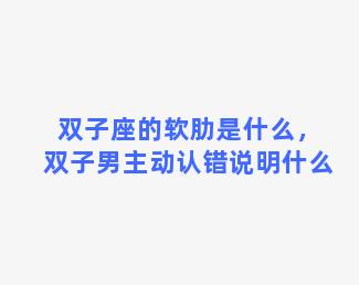 双子座的软肋是什么，双子男主动认错说明什么