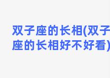 双子座的长相(双子座的长相好不好看)