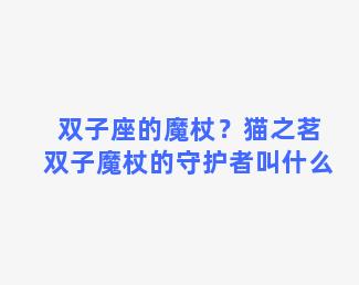 双子座的魔杖？猫之茗双子魔杖的守护者叫什么