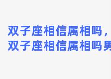 双子座相信属相吗，双子座相信属相吗男