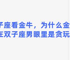 双子座看金牛，为什么金牛座女在双子座男眼里是贪玩的人