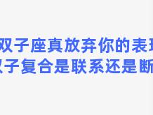 双子座真放弃你的表现(双子复合是联系还是断联)