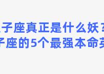 双子座真正是什么妖？双子座的5个最强本命英雄