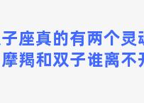 双子座真的有两个灵魂吗，摩羯和双子谁离不开谁