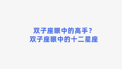 双子座眼中的高手？双子座眼中的十二星座