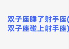 双子座睡了射手座(双子座碰上射手座)