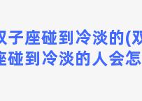 双子座碰到冷淡的(双子座碰到冷淡的人会怎样)