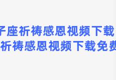 双子座祈祷感恩视频下载，双子座祈祷感恩视频下载免费观看