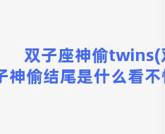 双子座神偷twins(双子神偷结尾是什么看不懂)