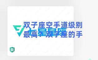 双子座空手道级别最高？双子座的手