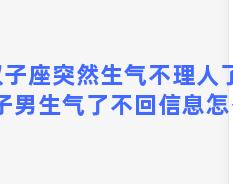 双子座突然生气不理人了，双子男生气了不回信息怎么办