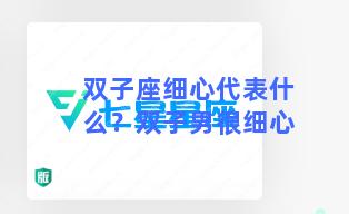 双子座细心代表什么？双子男很细心