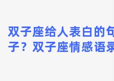 双子座给人表白的句子？双子座情感语录