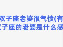 双子座老婆很气愤(有个双子座的老婆是什么感受)